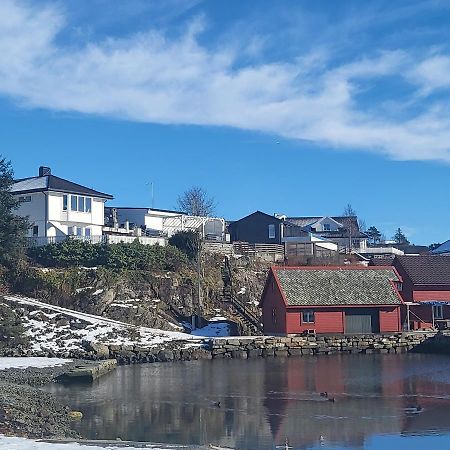 Cute Apartment By The Ocean Foldnes Екстериор снимка