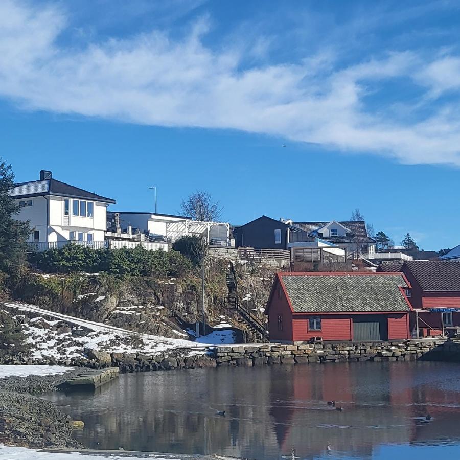 Cute Apartment By The Ocean Foldnes Екстериор снимка